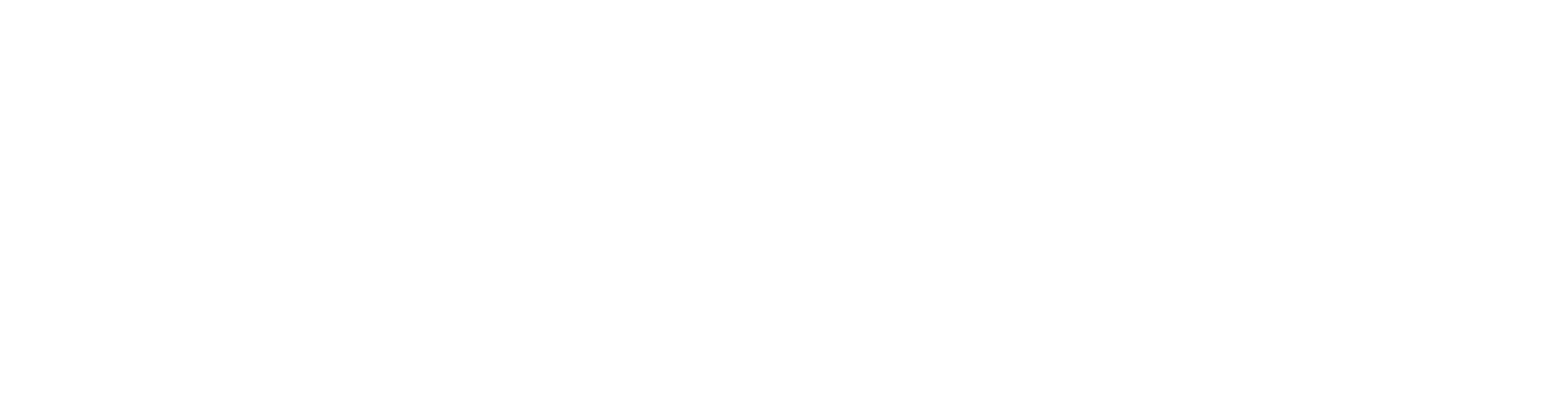 Energizer